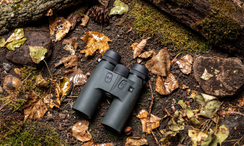 Ein Fernglas liegt auf einem Waldboden mit herbstlichen Blättern und Moos.