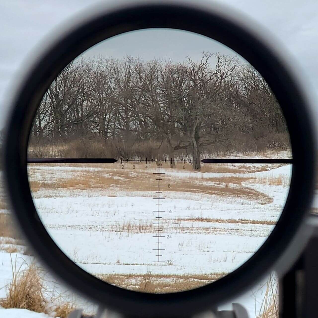 Blick durch ein Zielfernrohr auf eine winterliche Landschaft Zielfernrohransicht einer schneebedeckten Landschaft mit kahlen Bäumen im Hintergrund
